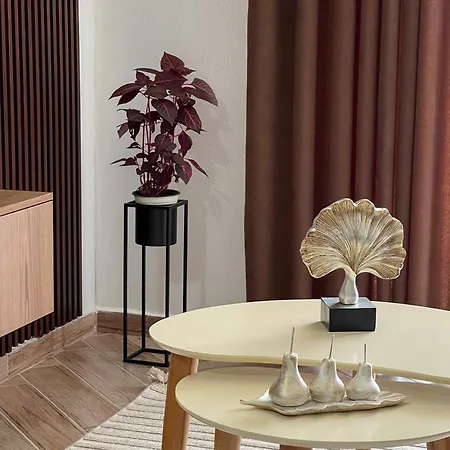 Guest Pro Albania Apartment *
